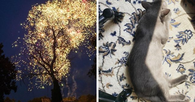 Подборка занимательных фотографий, снятых случайно