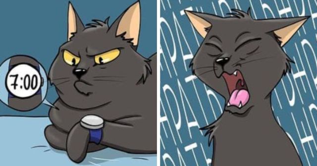 Забавный комикс от художницы, которая живет с двумя котами и собакой