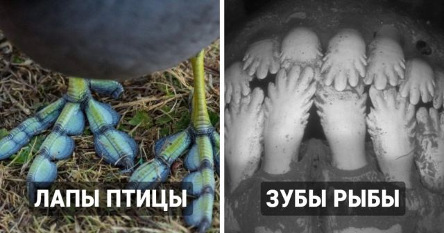 Подборка удивительной природы