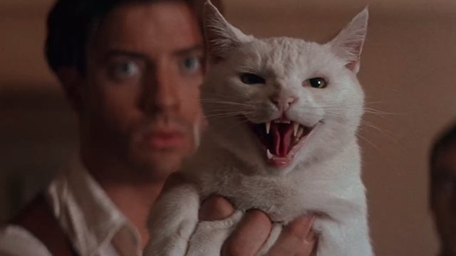 Коты-актеры, которые хорошо запомнились зрителям