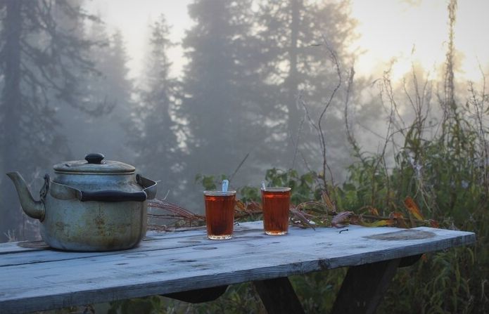 Утро в лесу⁠⁠
