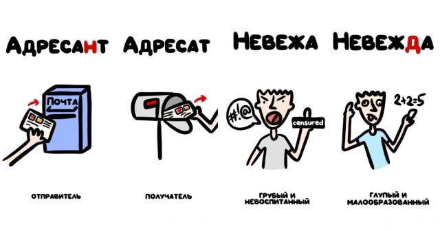 "Не перепутай!": забавные подсказки о вещах и понятиях, которые люди часто путают