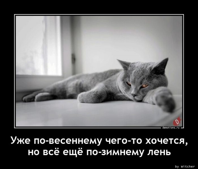 Картинки с надписями