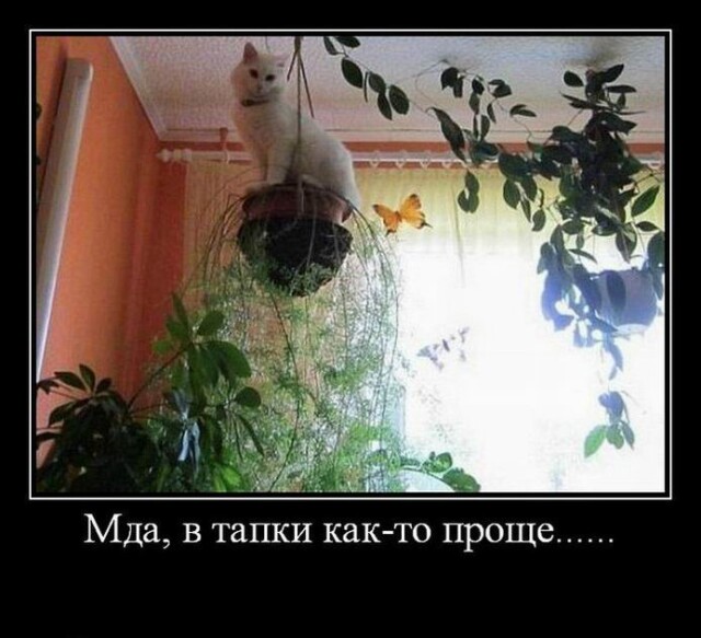 Картинки с надписями