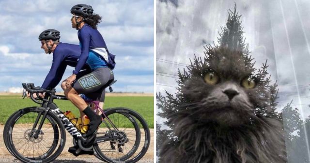 Подборка забавных снимков из серии "показалось"