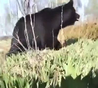 Это Россия