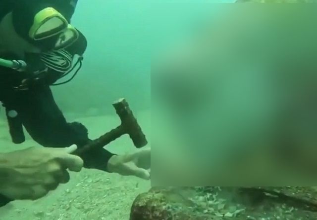 Азиатский овцеголовый губан - одна из самых необычных рыб в природе