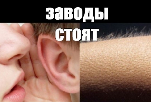 Заводы стоят, одни юристы в стране