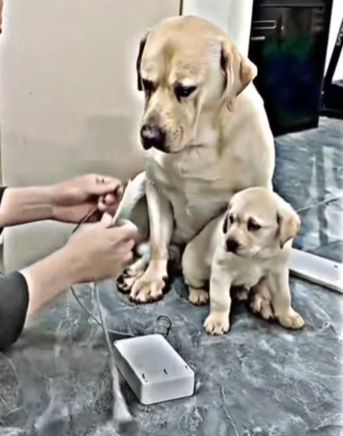 Все матери одинаковые⁠⁠