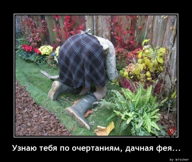 Картинки с надписями