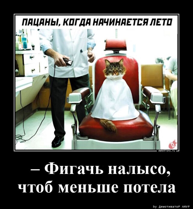 Картинки с надписями