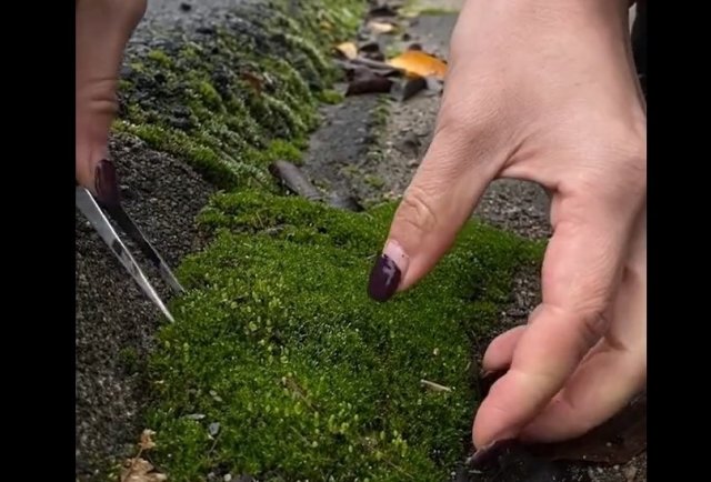 Даже из мусора можно сделать невероятную красоту