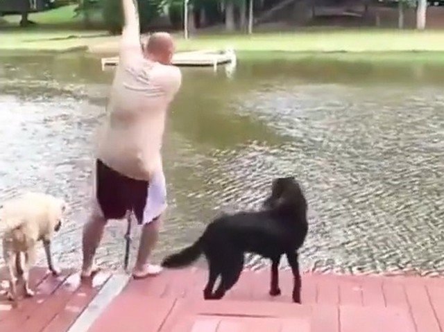 Мы не заслуживаем собак