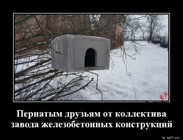 Картинки с надписями