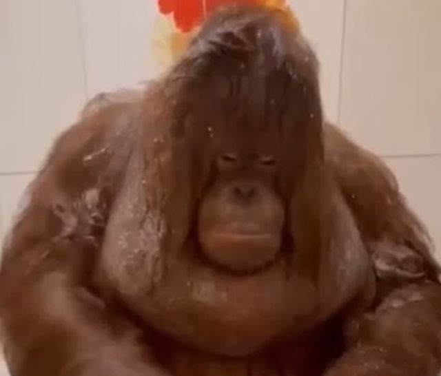 Когда отключили горячую воду