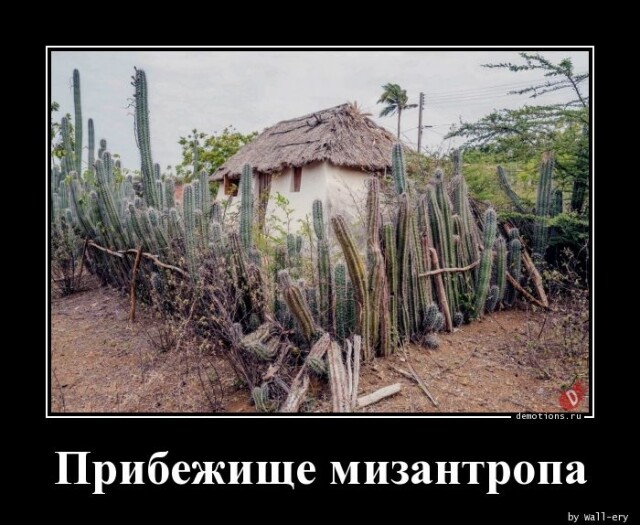Картинки с надписями