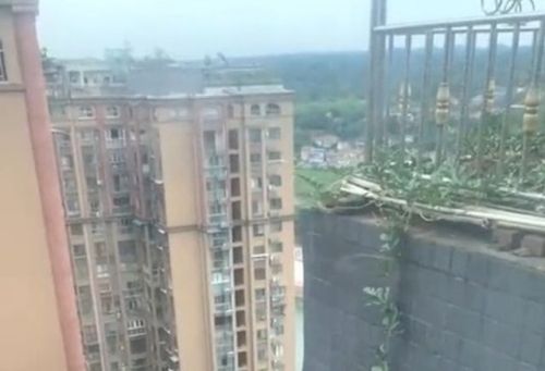 Арбуза на голову не желаете?