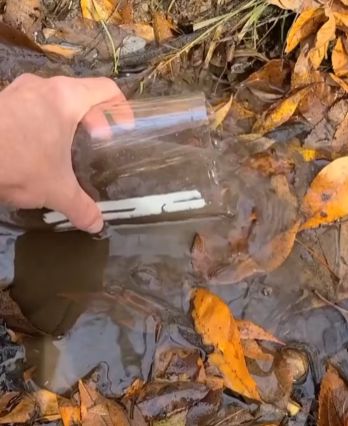 Фильтрация воды при помощи рогоза, а далее уже можно прокипятить отфильтрованную воду⁠⁠