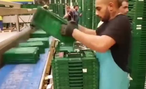 Когда не наврал в резюме⁠⁠