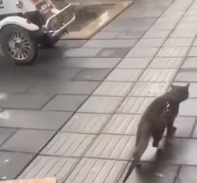 Вижу цель, не вижу препятствий⁠⁠