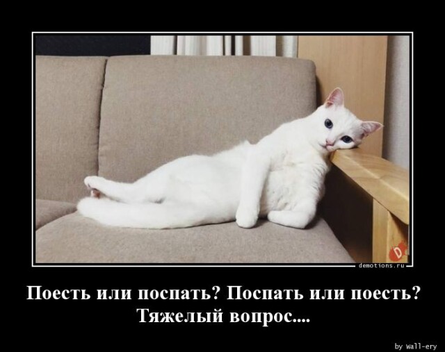 Картинки с надписями