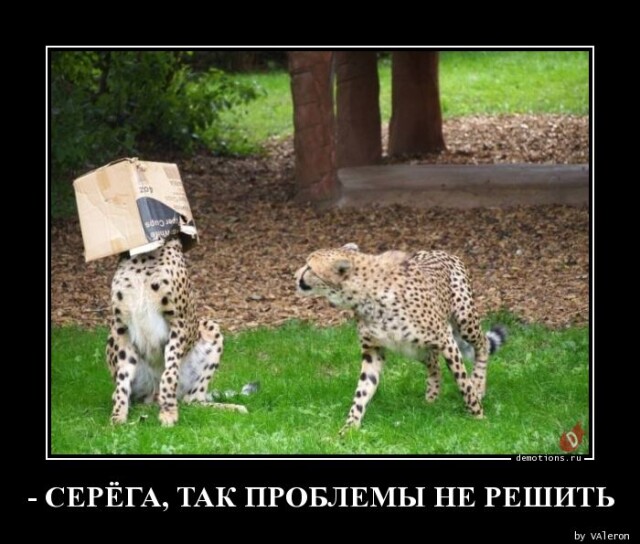 Картинки с надписями