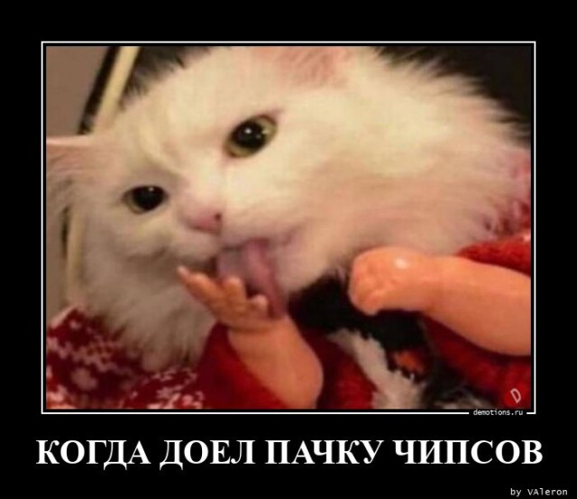 Картинки с надписями