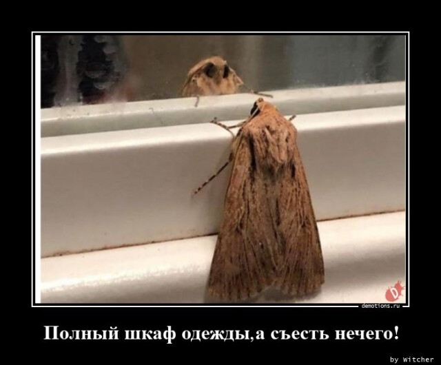 Картинки с надписями
