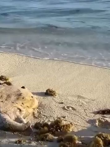 Человек сделал доброе дело!⁠⁠
