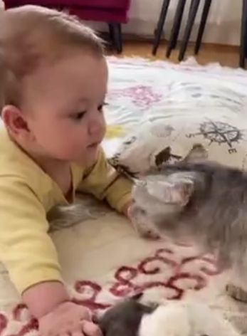 У мам хороших все дети свои