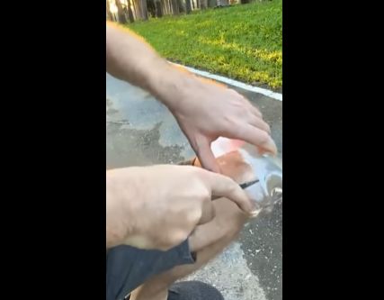 Глушитель для велосипеда