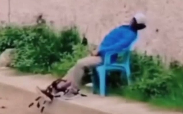 Смешной, но жестокий пранк