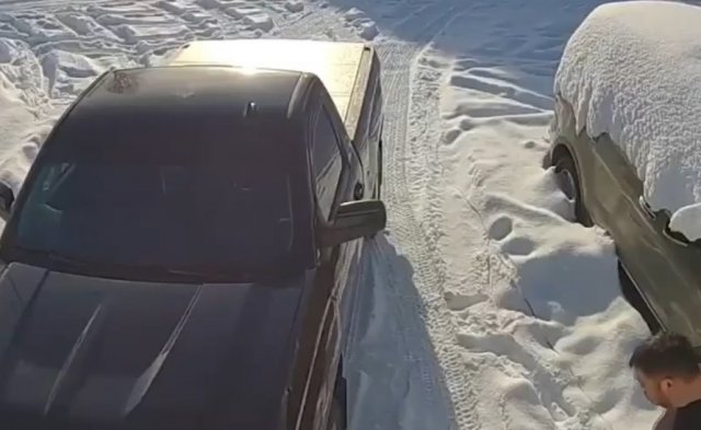 Когда ты маленький, но даже лося не боишься