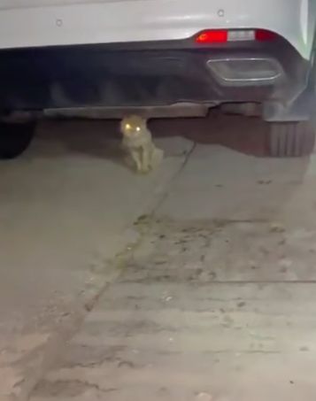 Помыли, накормили...⁠⁠