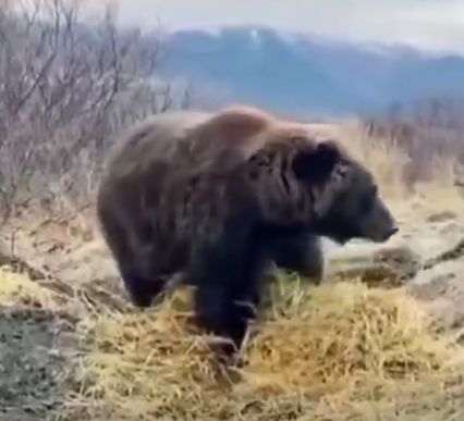Всё... Я спать...