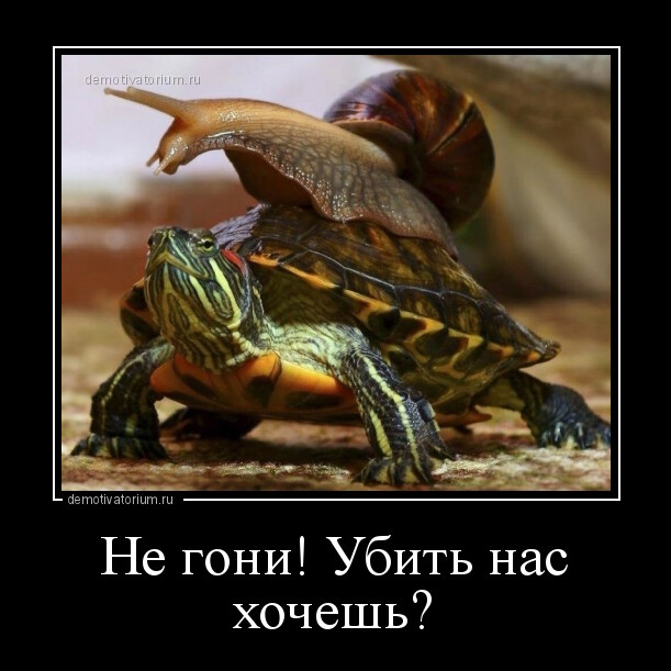 Картинки с надписями