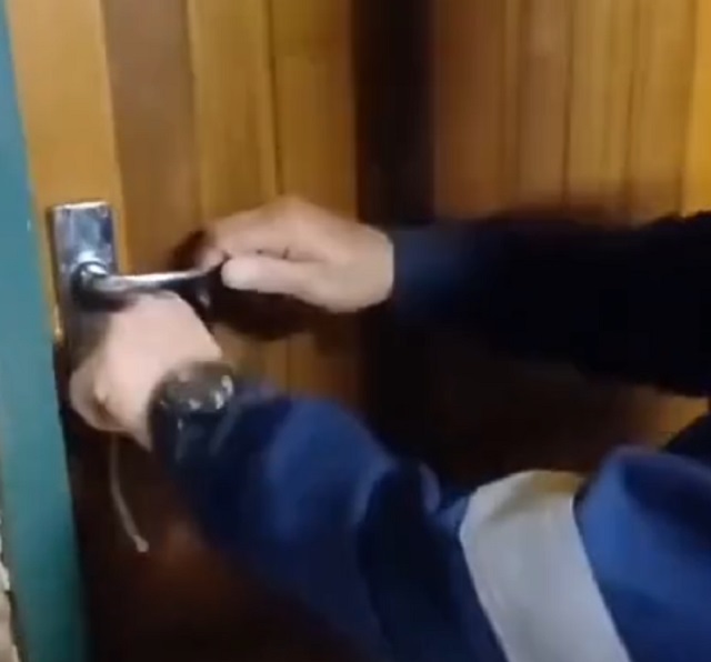 Кормежка стаи голодных галаго