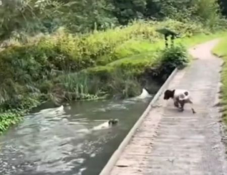 Как ребятня⁠⁠