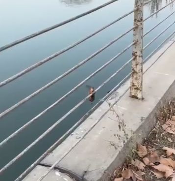 Доброта спасёт мир...⁠⁠