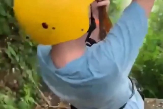 Ребята ехали на зип-лайне и врезались в местного обитателя