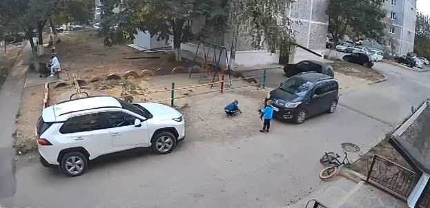 В Краснодарском крае жестокие дети пытались закопать в песок живого котенка
