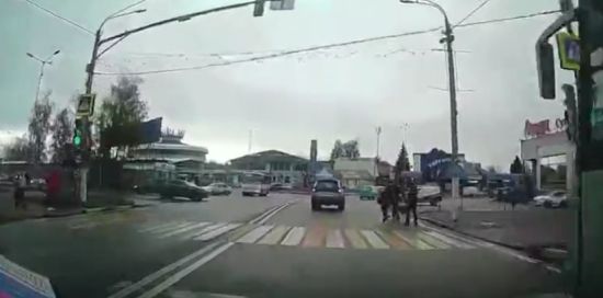 Осторожно, животные на дороге