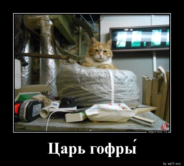 Картинки с надписями