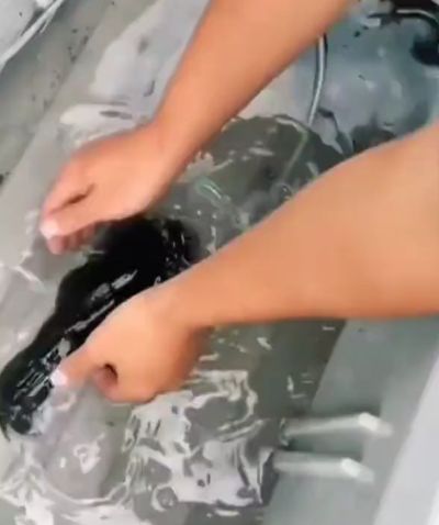 Рифовый кальмар способен мгновенно менять цвет от прозрачного цвета к непрозрачному.⁠⁠