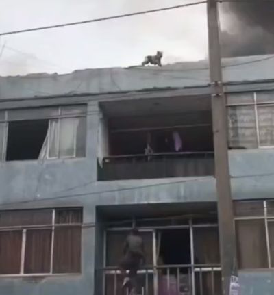 Парень, достойный восхищения