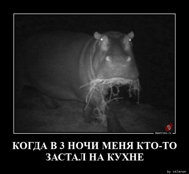 Картинки с надписями