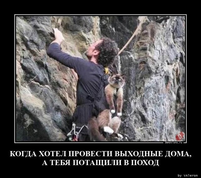 Картинки с надписями