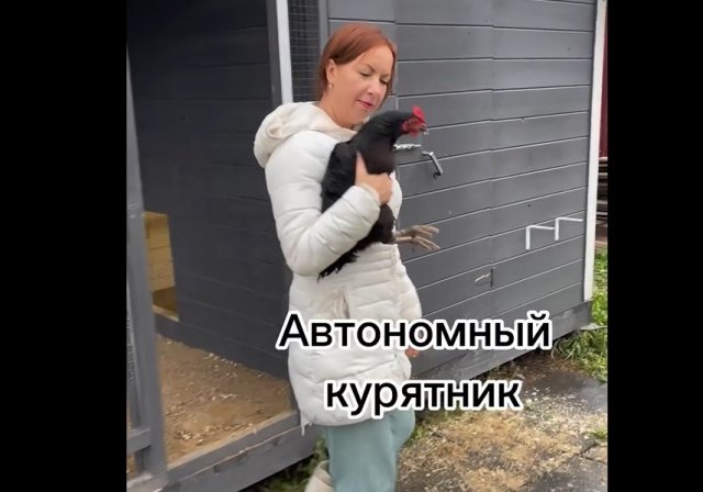 Прогресс в действии: автономный курятник