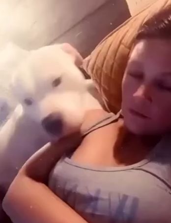 Это был твой лай?