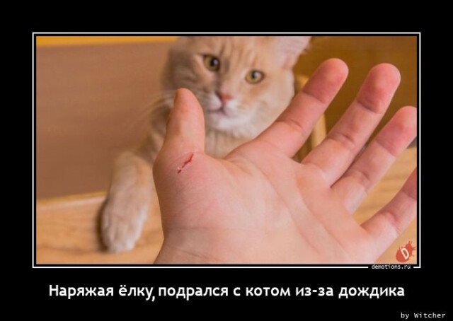 Картинки с надписями